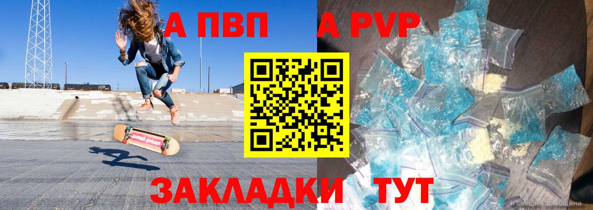 Альфа ПВП СК КРИС Семилуки