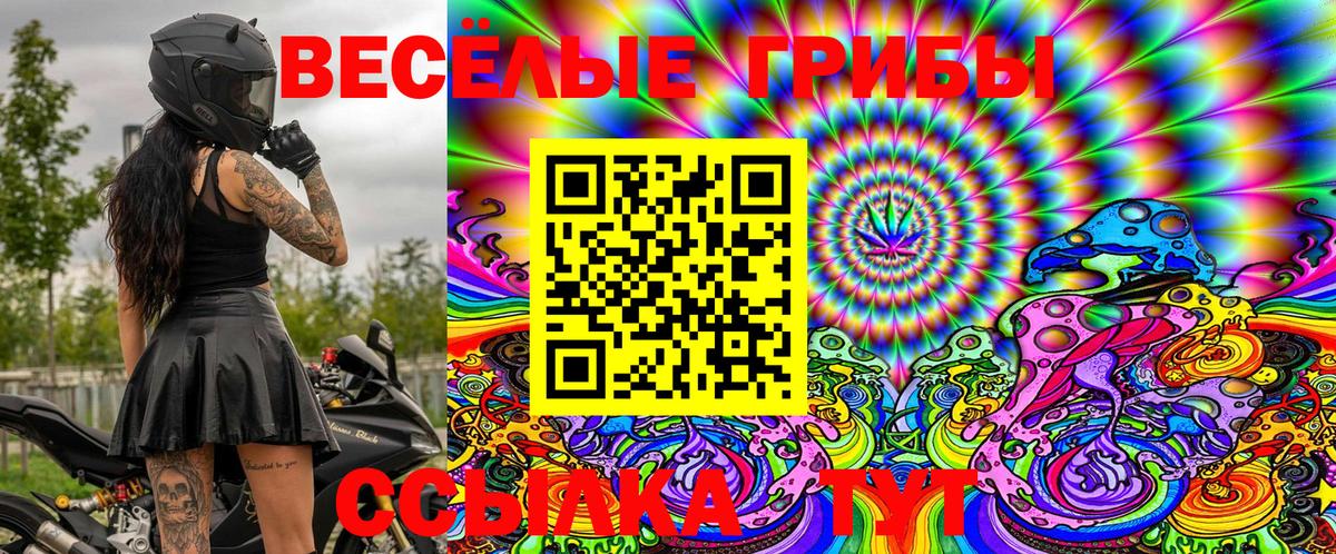 Псилоцибиновые грибы Cubensis  Вход с VPN  Семилуки  где найти наркотики  Галлюциногенные грибы Psilocybine cubensis 